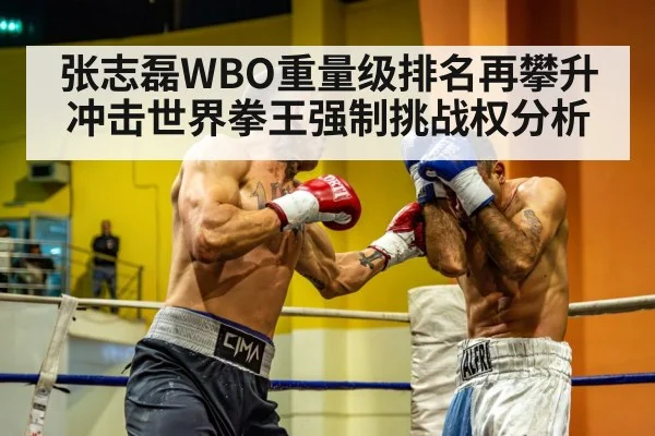 张志磊WBO重量级排名再攀升 冲击世界拳王强制挑战权分析