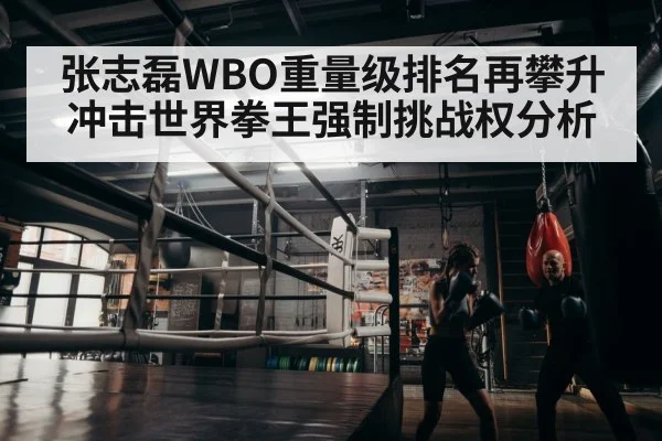boxer training gym
