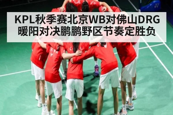 KPL秋季赛北京WB对佛山DRG暖阳对决鹏鹏野区节奏定胜负
